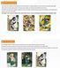 Бокс колекційних карток Naruto (Ранг 10П, Tier 4 Wave 7, 10 паків, Англійська версія / Naruto Smriti Collectible Cards Platinum 02 Series Kayou English) cardbox-52 фото 5